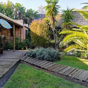 Saltycrax Backpackers And Surf Hostel By Curiocity Bloubergstrand